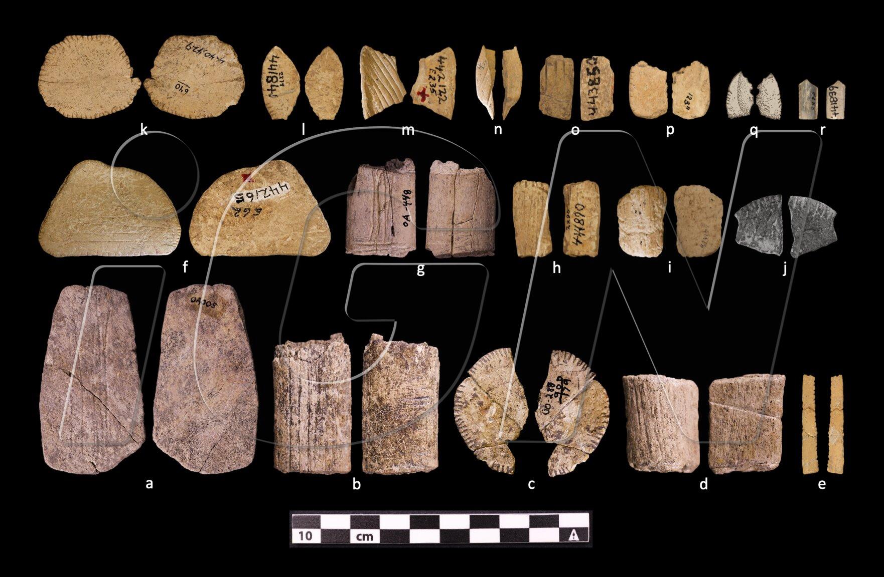 Ancient Dice Found in the US Are Over 12,000 Years Old